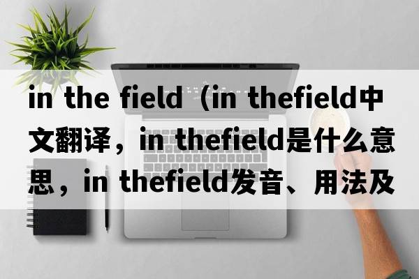 in the field（in thefield中文翻译，in thefield是什么意思，in thefield发音、用法及例句）