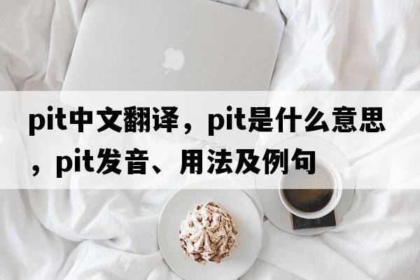pit中文翻译，pit是什么意思，pit发音、用法及例句