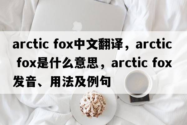 arctic fox中文翻译，arctic fox是什么意思，arctic fox发音、用法及例句