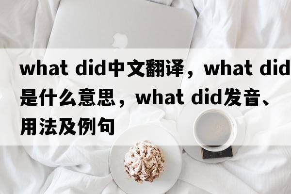 what did中文翻译，what did是什么意思，what did发音、用法及例句