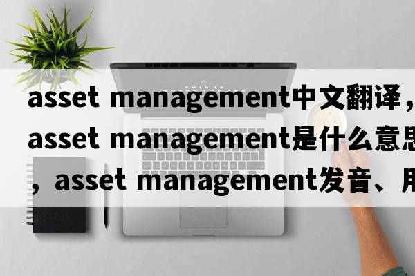 asset management中文翻译，asset management是什么意思，asset management发音、用法及例句