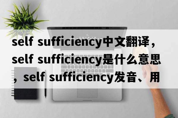 self sufficiency中文翻译，self sufficiency是什么意思，self sufficiency发音、用法及例句