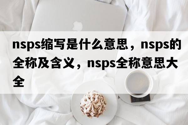 nsps缩写是什么意思，nsps的全称及含义，nsps全称意思大全