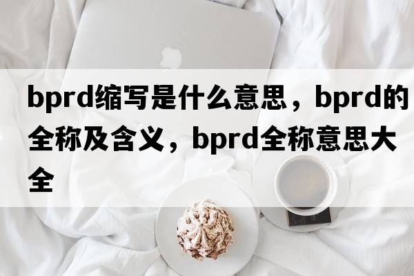 bprd缩写是什么意思，bprd的全称及含义，bprd全称意思大全