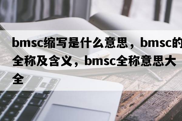 bmsc缩写是什么意思，bmsc的全称及含义，bmsc全称意思大全