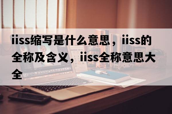 iiss缩写是什么意思，iiss的全称及含义，iiss全称意思大全