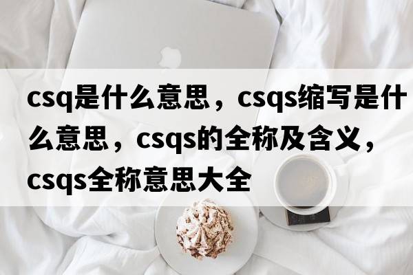 csq是什么意思，csqs缩写是什么意思，csqs的全称及含义，csqs全称意思大全