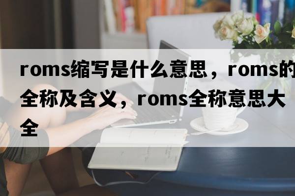 roms缩写是什么意思，roms的全称及含义，roms全称意思大全