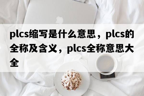 plcs缩写是什么意思，plcs的全称及含义，plcs全称意思大全