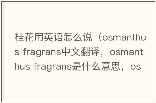 桂花用英语怎么说（osmanthus fragrans中文翻译，osmanthus fragrans是什么意思，osmanthus fragrans发音、用法及例句）