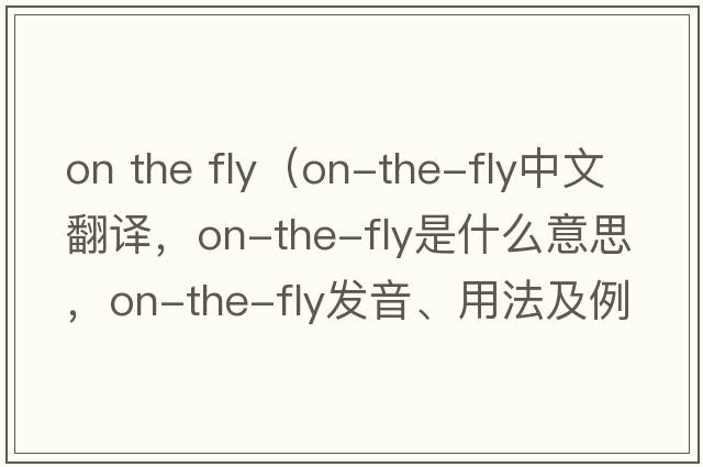 on the fly（on-the-fly中文翻译，on-the-fly是什么意思，on-the-fly发音、用法及例句）