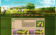 jf6201-西安做网站-某某苗木种植有限公司